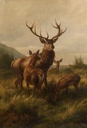 Stag with Hinds